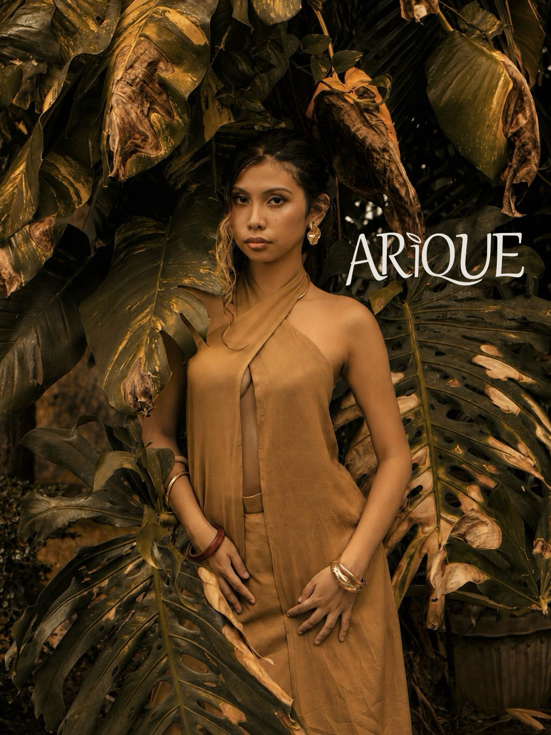 Arìque
