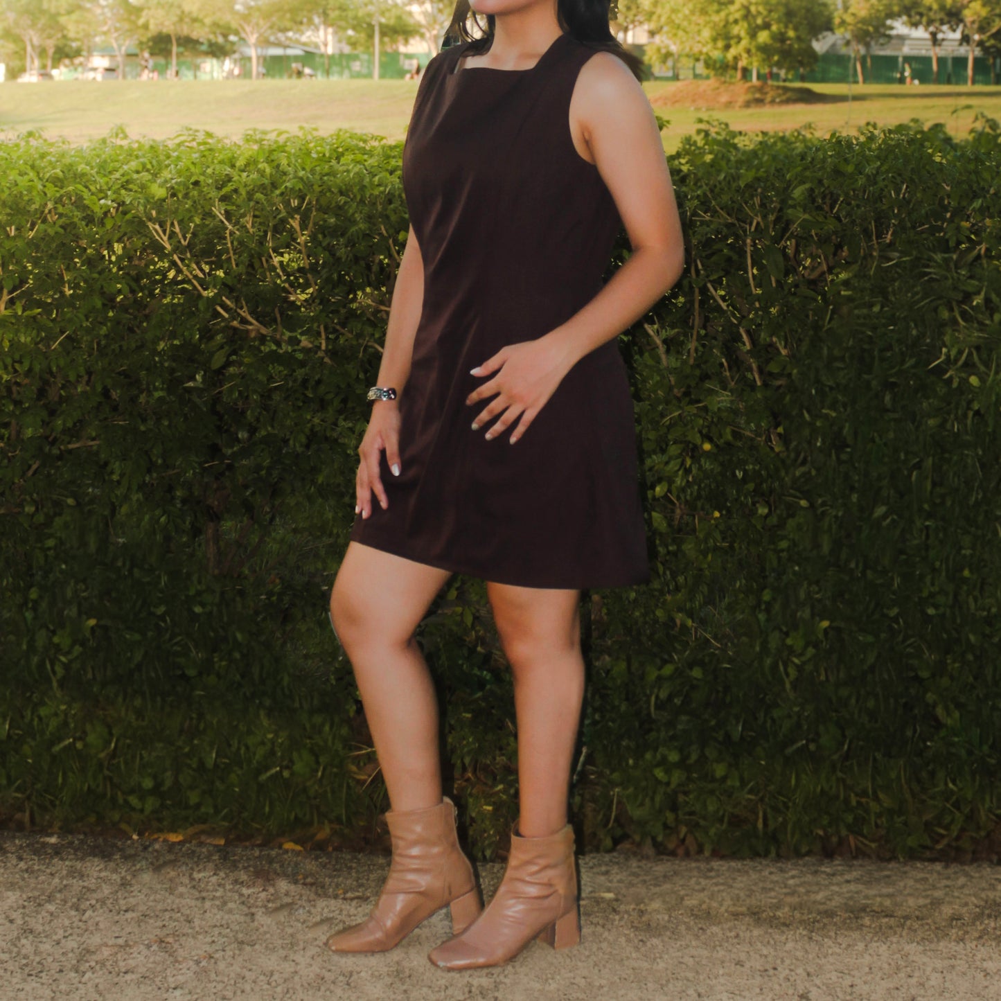 Princess Seam Dress