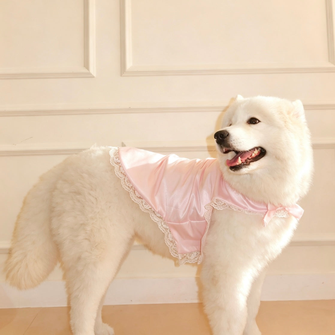 Lacey