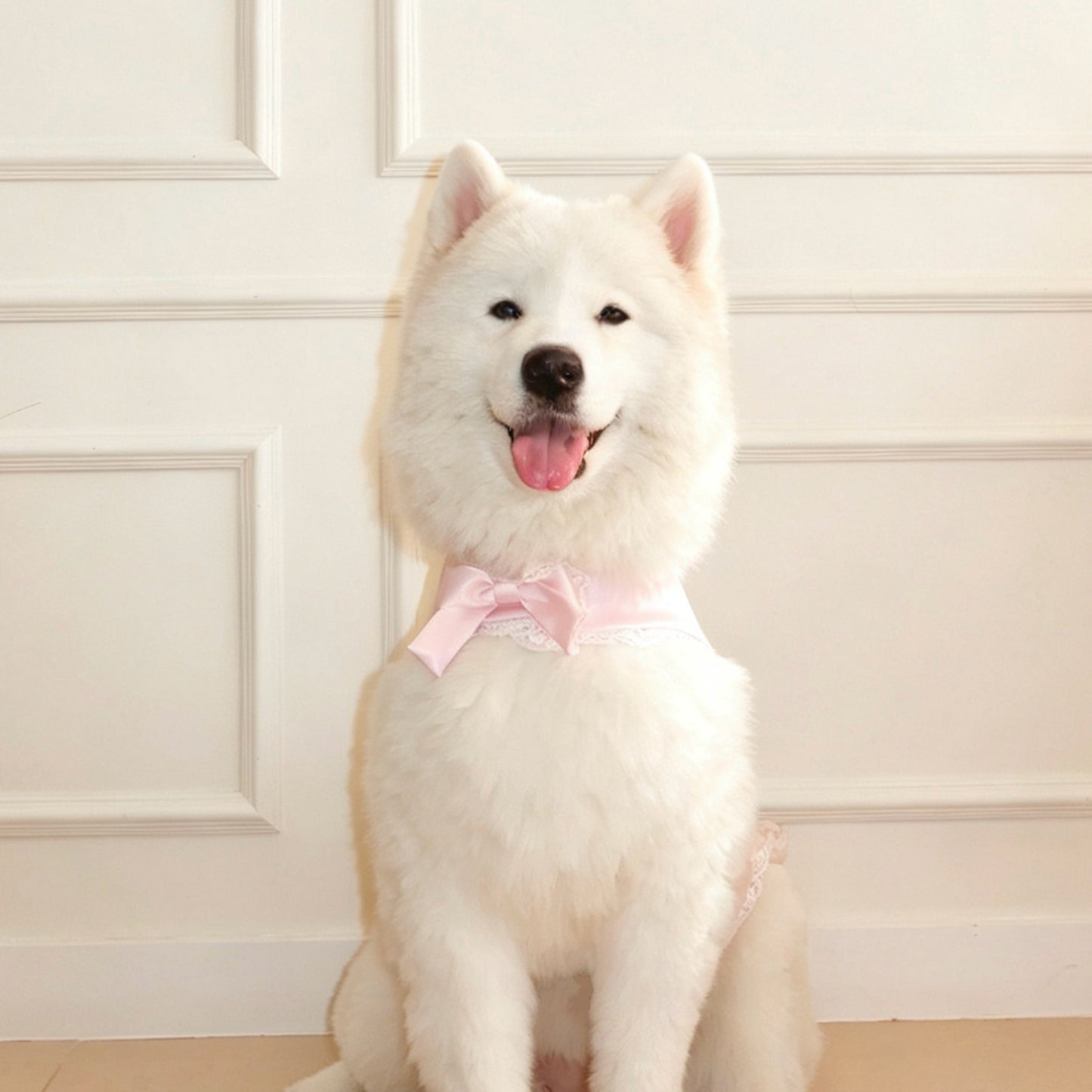 Lacey