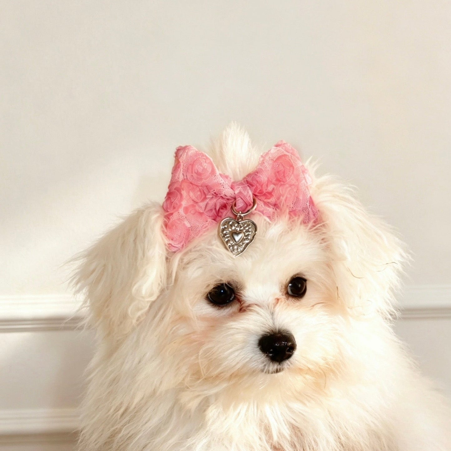 Rosette